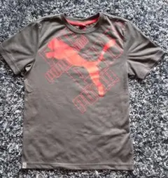 Item thumbnail for item 552991cd-4a36-4eb1-bceb-e85146e4f342