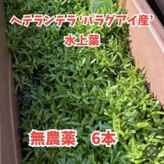 miyu様 リクエスト 2点 まとめ商品