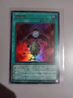 Vジャンプ 5月号 2026 付録 魔法カード「月輪鏡」 遊戯王 3枚 - メルカリ