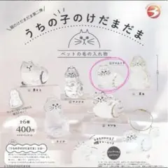 うちの子のけだまだま　第二弾　シャムトラ