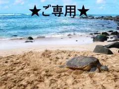 ✨sousuke様ご専用ページです✨