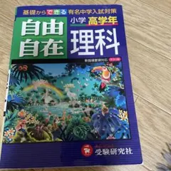 Item thumbnail for item 0ca31515-670b-4f43-a143-abd77e1f56d0