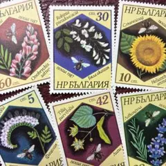 2305 【消印有：海外切手(東ドイツDDR)】 サボテンの花 6種完 植物