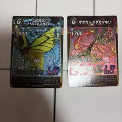 2026年最新】トリバネアゲハの人気アイテム - メルカリ