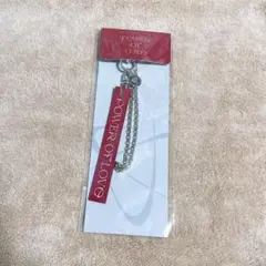 SEVENTEEN POWER OF LOVE POL キーリング