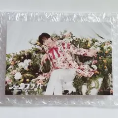 2026年最新】塩田将己 生写真の人気アイテム - メルカリ