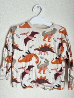 ZARA 恐竜柄 長袖カットソー 2-3歳