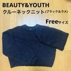【美品✨️】BEAUTY&YOUTH クルーネックニット(ブラック＆ラメ)