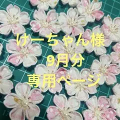 けいちゃん様 専用ページ