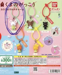 くまのがっこう カラフルマルチチャーム デイビッド