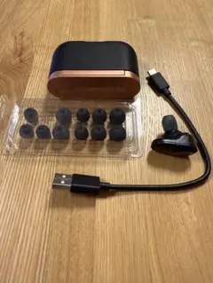 SONY WF-1000XM3 ワイヤレスイヤフォン