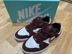 Nike SB ウィメンズ アリウープ 25センチ　CQ0369-601