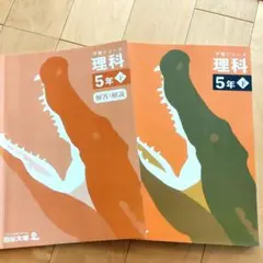 2026年最新】予習シリーズ 5年 理科の人気アイテム - メルカリ