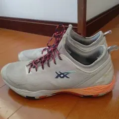 ASICS グライドノヴァff2 セレブレーション　US11.5