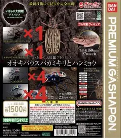 【蟻最高級種】ホンウロコアリ 標本 サシハリアリ ブルドッグアント パラポネラ 蟻最高級種】ホンウロコアリ 標本 サシハリアリ ブルドッグアント