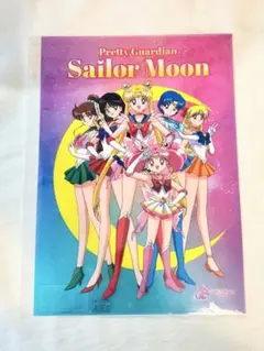 美少女戦士セーラームーン ポスター バンプレスト 景品 NO.20 竹内直子