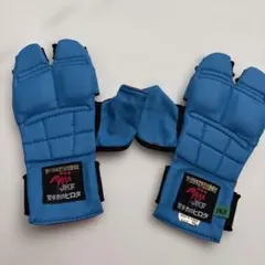 ヒロタ　拳サポ