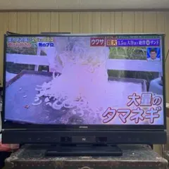 2026年最新】50インチ テレビ 三菱の人気アイテム - メルカリ