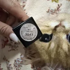 ケイト リップモンスター 03 口紅 3.0g