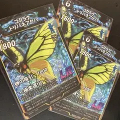 2025年最新】トリバネアゲハの人気アイテム - メルカリ