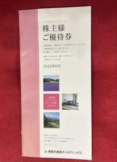 東急不動産ホールディングス　 株主優待券