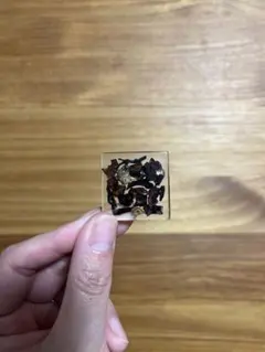 【美品】ドライフラワー レジン ブローチ