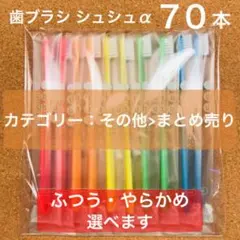 歯ブラシ ７０本 セット ふつう シュシュ shushu α 歯科専用