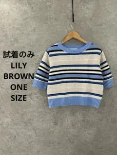 LILY BROWN ボーダー 半袖ニット 美品 クロップド 春夏 水色 フリー