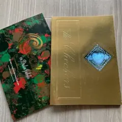 チェッカーズSCREW TOUR 映画パンフレット非売品コンサートチケット