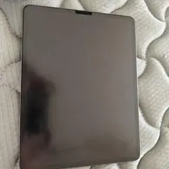 Apple iPad Pro (12.9インチ, 第4世代) 256GB