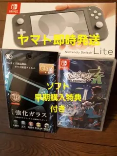 新品3点 switch lite ポケモンza スイッチライト グレー 即時発送