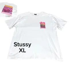 Stussy ステューシー バックプリント　グラフィック Tシャツ　海　ロゴXL