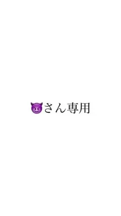 さん専用