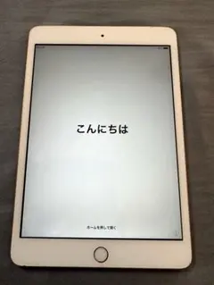 Apple_iPad mini3_中古完動品
