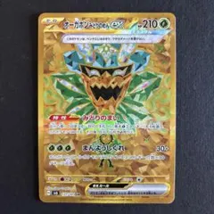 オーガポンみどりのめんex