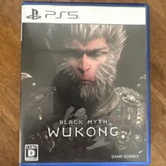BLACK MYTH WUKONG PS5（黒神話)