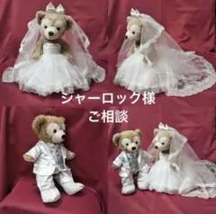 シャーロック様ご相談　10月後半 ダッフィーコスチューム