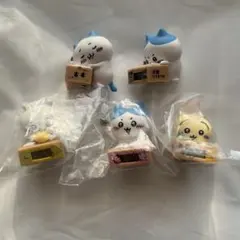 ちいかわ　いっしょにがんばろ！　ダンボールウォッチ　ハチワレ　うさぎ　ちいかわ