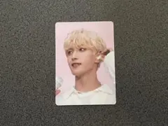 SEVENTEEN ドギョム トレカ Follow Again