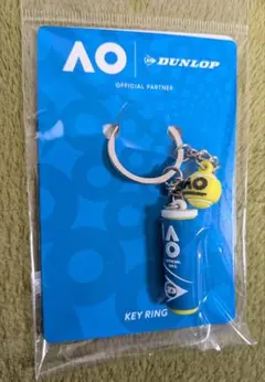 Item thumbnail for item 8663053e-f47b-44d3-a02a-26a9380986ef