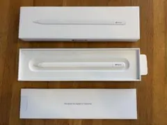 Apple Pencil (USB-C)