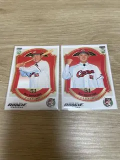 Item thumbnail for item e147056f-9391-4e12-9427-251905759a36