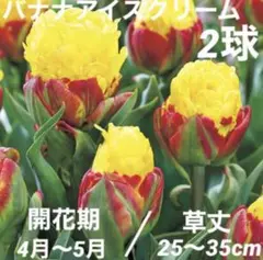 ヒデジイ様 リクエスト 3点 まとめ商品