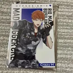 ヒプノシスマイク 毒島メイソン理鶯