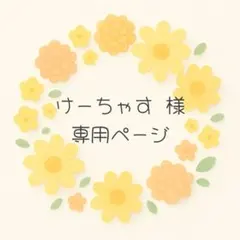 けーちゃす様専用ページです♪