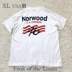 USA製 フルーツオブザルーム　プリントTシャツ XL ヴィンテージ　リンガー