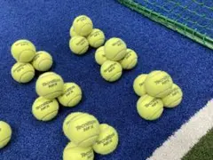 Tecnifibre NFX テニスボール 50個　中古品