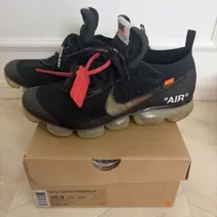 【最安値】Nike Air Vapormax FK THE 10 10.5