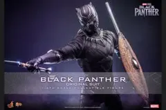 ムービー・マスターピース １／６スケール ブラックパンサー（オリジナル・スーツ）のサムネイル