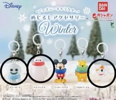 《新品》《未開封》ディズニーキャラクター　めじるしアクセサリー　winter
